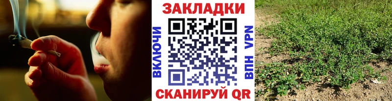 Где купить наркотики Сургут ГАШИШ АМФ Меф мяу мяу Канабис Cocaine Alpha PVP