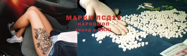 хмурый Зеленокумск