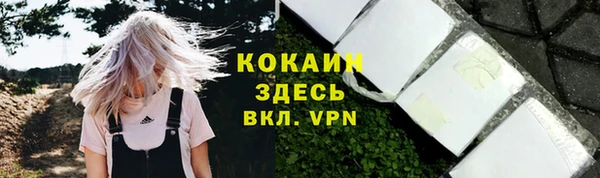 хмурый Зеленокумск