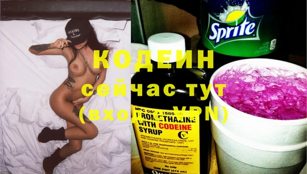 хмурый Зеленокумск