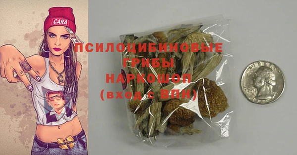 хмурый Зеленокумск