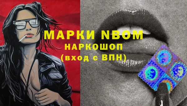 хмурый Зеленокумск