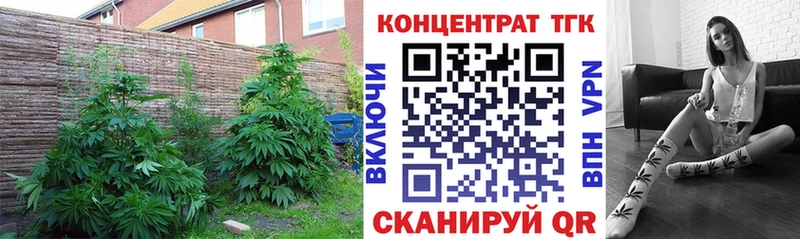 ТГК вейп Сургут