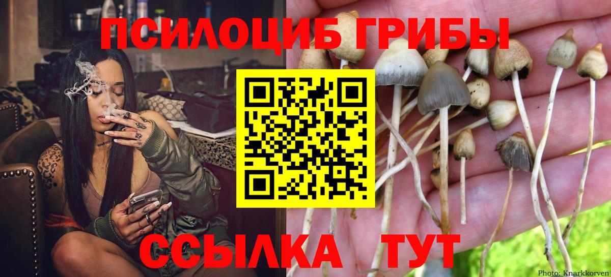 Сургут  Псилоцибиновые грибы ЛСД  Псилоцибиновые грибы Magic Shrooms  Вход с VPN 