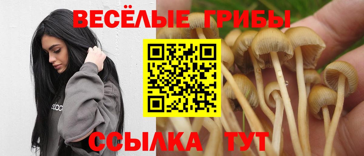 Галлюциногенные грибы мухоморы Сургут